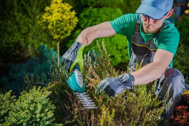 landscaping services North Valley Stream